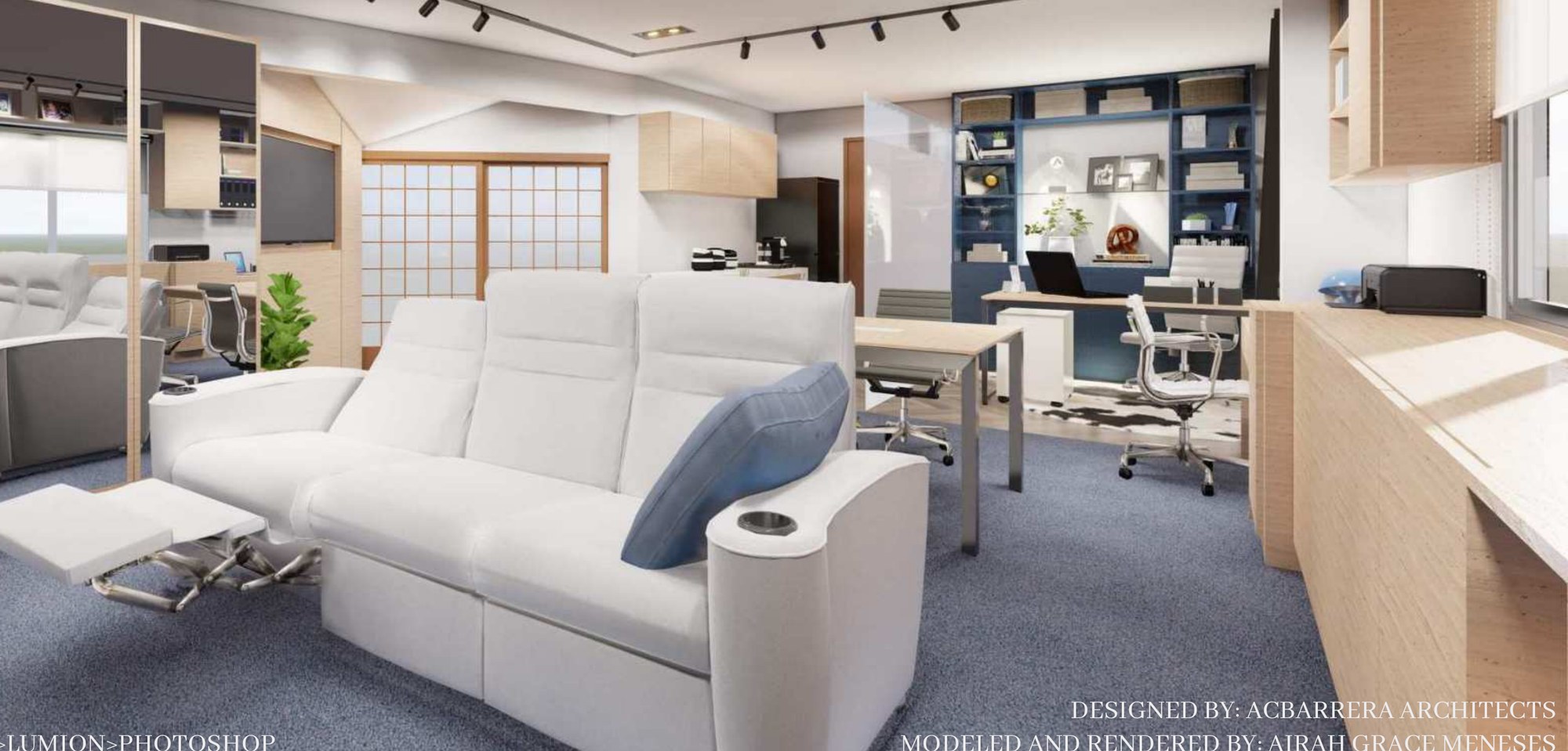 Home Office Renovation